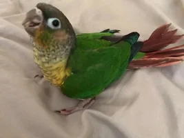 Does this little guy look ok to you?