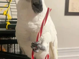 December 2022 POTM Contest