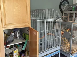 Cage for a TAG?