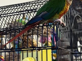 Just a picture of Maddox being all cute and stuff
