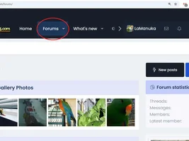 Not allowing medical help posts