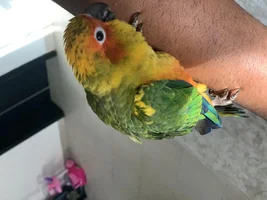 New member from Bahrain 🇧🇭
