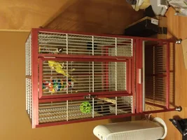 Wrought Iron, Aluminum, Stainless Steel Cage Suggestions