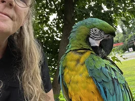 Hi , am Cori this is Tiki miligold 5yo we’re new to the site …