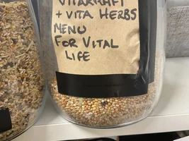 Budgie food