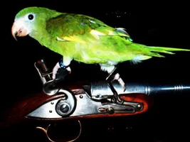 Wrench13's Old Photo Album