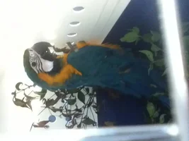 Fargo Is HOME!!!!!