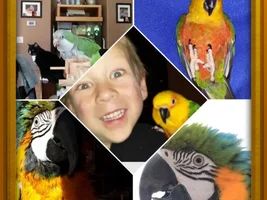 New to birds and the forums