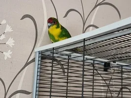 This is Sunny