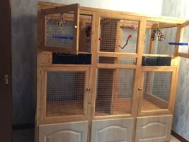 new home made aviary