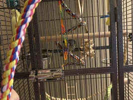 Elvira's 4th Day Home [Update w/ Questions]