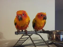 Bath Time Question