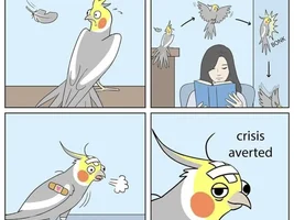 The best Bird meme!!