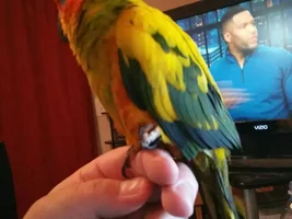 A candid look at the first 17 days with our new family member