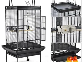 New baby Quaker- cage question