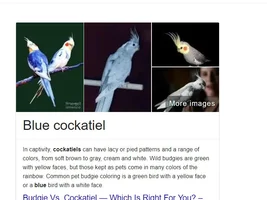 Might be adopting a new parrot