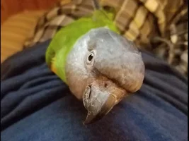 Just Me and my beautiful bird
