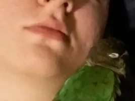 Funny conure stories