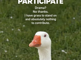 The best Bird meme!!