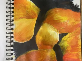 More drawings