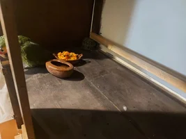My bird hasn't had a bath in about 6 years.