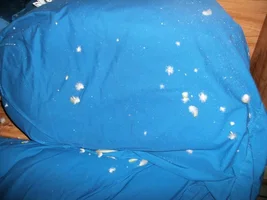 OMG for the record, this is what molting looks like