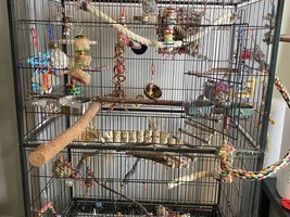 Enrichment ideas, share yours