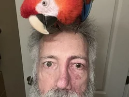 Louie the gigantic Scarlet Macaw