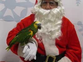 Sydney met Santa :)
