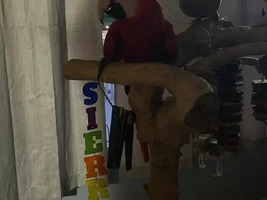SCARLET MACAW HOUSING