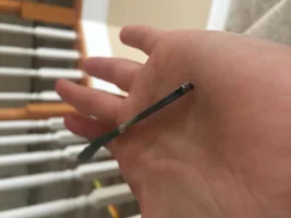 Blood Feather Fell(?) Out