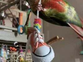 It’s a GIRL!!!!