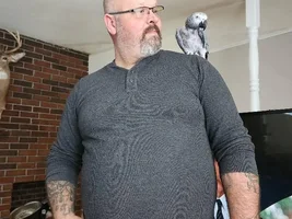 Re-homing our African Grey Buddy