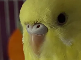 New baby!