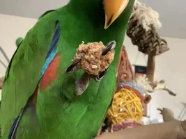 November POTM Contest!