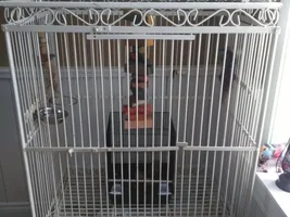 Tips for re-enforcing cage