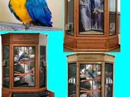 Whats toxic to birds...