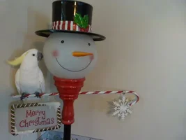 Our Cockatoo "Shelby" Behavior Towards Wife And Dog