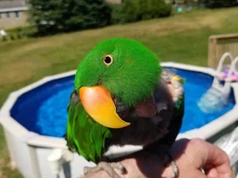 August 2023 POTM Contest!