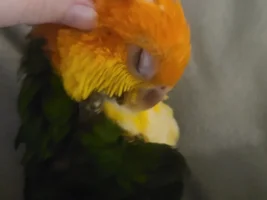 All about the scratchies!
