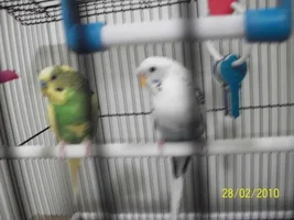 Sammy and Cassie