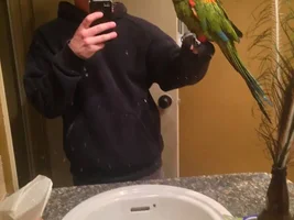 First time and a rescue. Got Q's