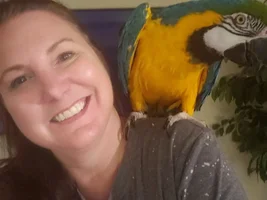 Just adopted a B&G Macaw
