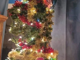December 2021 POTM Contest!!!
