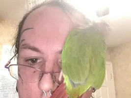 I'm a jungle gym.