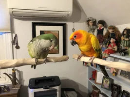 Target Training - Quaker not getting it