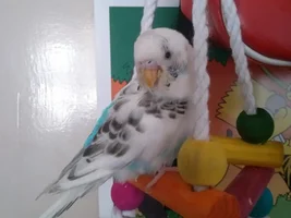 A little bit concerned about my little Yuna