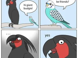The best Bird meme!!