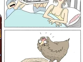 The best Bird meme!!
