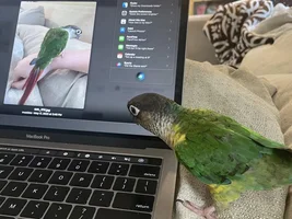Maddox might be a bit self obsessed